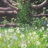 Wild Flowers with tree, England - 
  100 x 50 cm., 500 euros