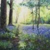 “Cornwall Bluebells, UK” - 82cm x 65cm - €800